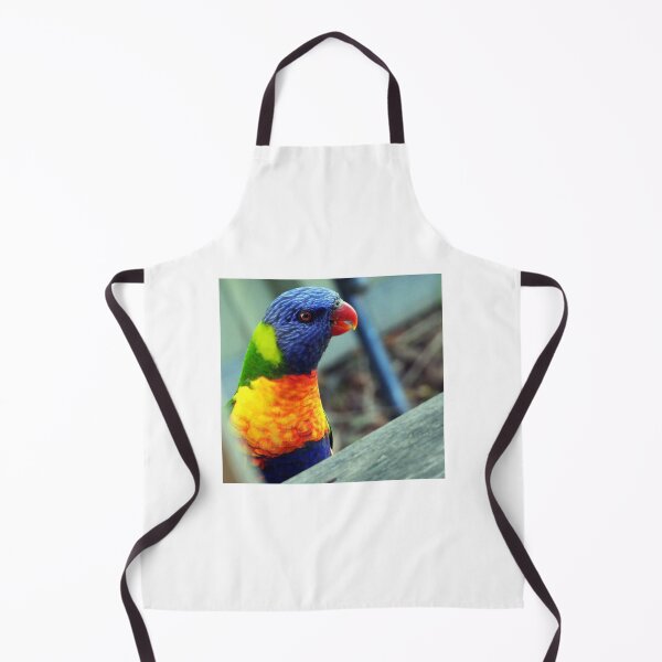 Item preview, Here's looking at you, kid! Rainbow Lorikeet, Warwick, Queensland designed and sold by Lynette2025.