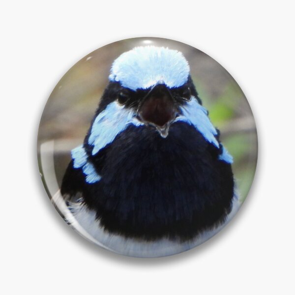 Item preview, Male Blue Wren singing a song designed and sold by Lynette2025.