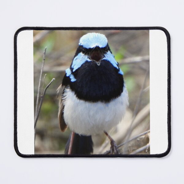 Item preview, Male Blue Wren singing a song designed and sold by Lynette2025.