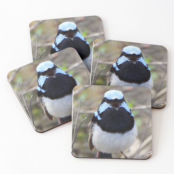 Item preview, Male Blue Wren singing a song designed and sold by Lynette2025.
