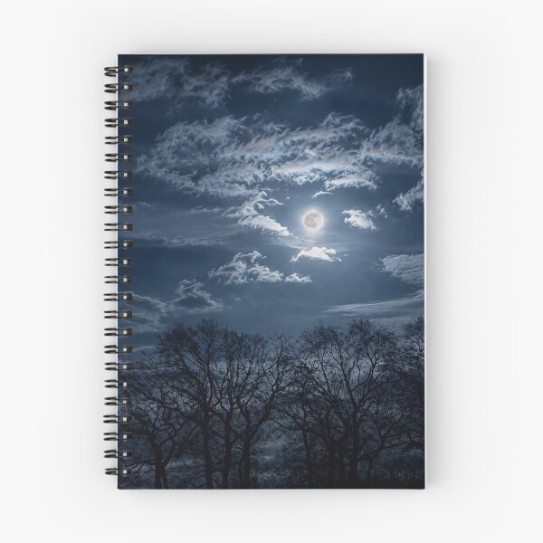 Item preview, The Silent Light of the Moon designed and sold by alexanderVision.