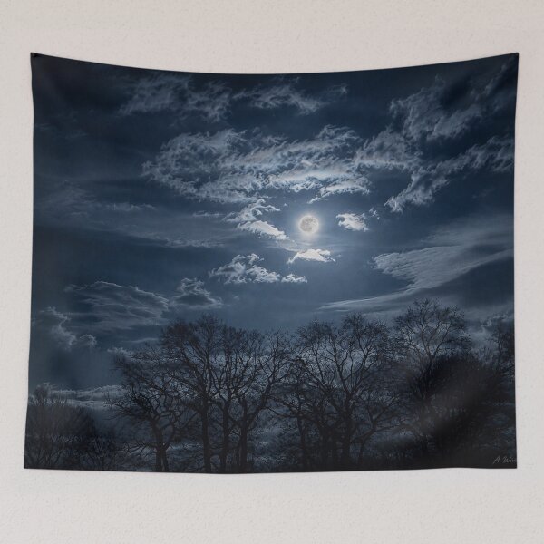 Item preview, The Silent Light of the Moon designed and sold by alexanderVision.
