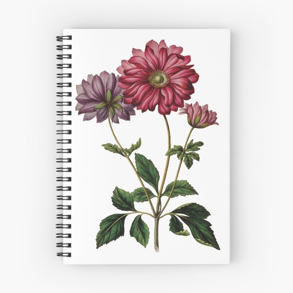 Item preview, Vintage Botanical Flower Collection designed and sold by RGB-crayon.