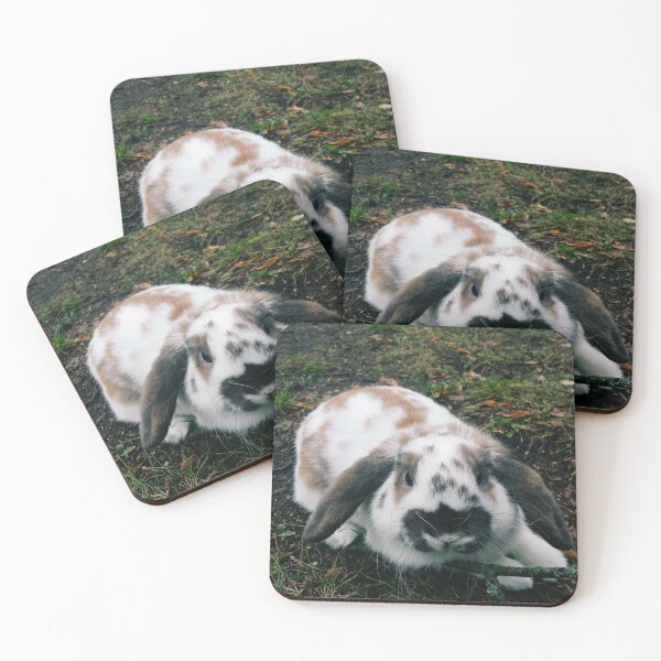 Item preview, ​Cute lop eared rabbit in the grass designed and sold by Reveka1337.