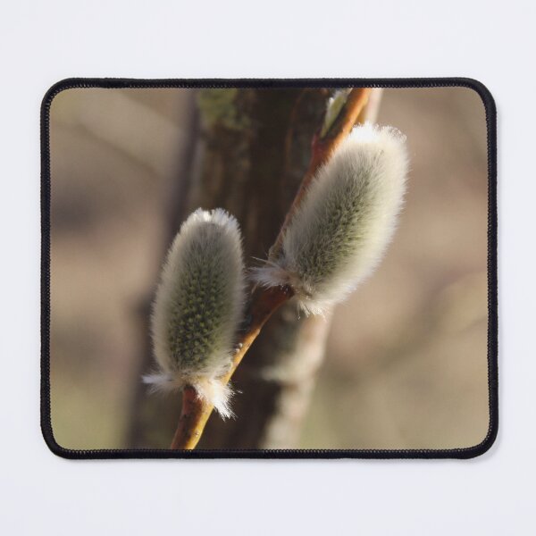 Item preview, Soft spring willow buds close up designed and sold by Reveka1337.