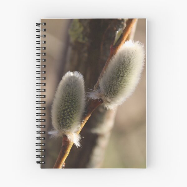 Item preview, ​Soft spring willow buds close up designed and sold by Reveka1337.
