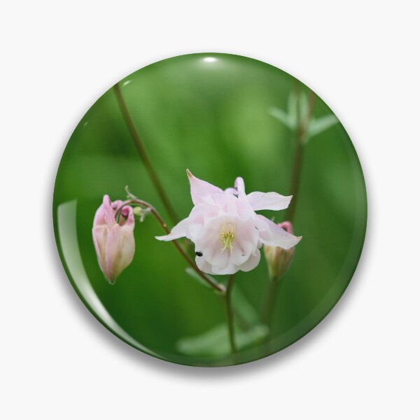 Item preview, Dash of pink. Columbine designed and sold by Jouko Lehto Photography.