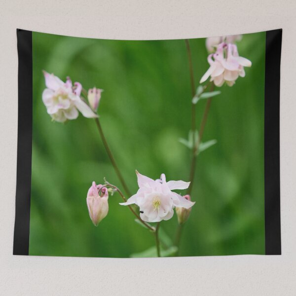 Item preview, Dash of pink. Columbine designed and sold by Jouko Lehto Photography.