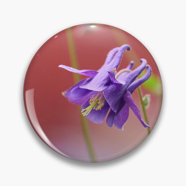 Item preview, Against red. Columbine designed and sold by Jouko Lehto Photography.