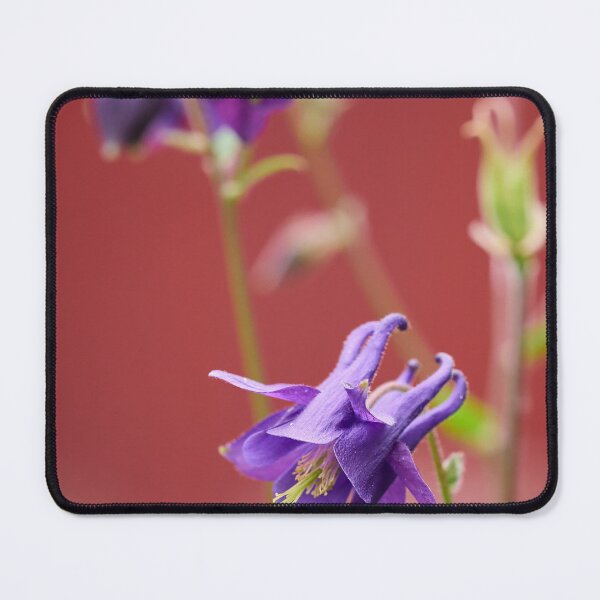 Item preview, Against red. Columbine designed and sold by Jouko Lehto Photography.
