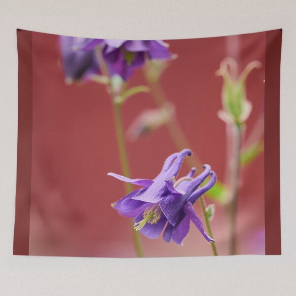 Item preview, Against red. Columbine designed and sold by Jouko Lehto Photography.