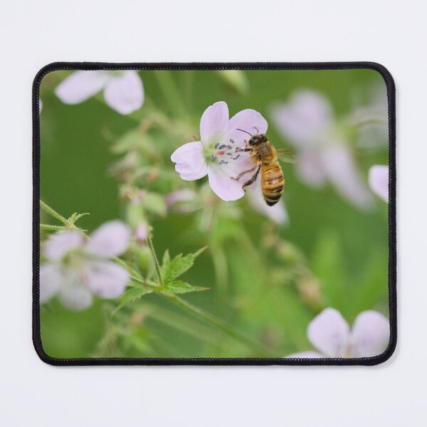 Item preview, Honey works. Wood Cranes­bill and Honey Bee designed and sold by Jouko Lehto Photography.