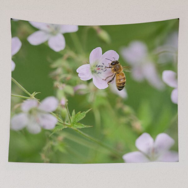 Item preview, Honey works. Wood Cranes­bill and Honey Bee designed and sold by Jouko Lehto Photography.