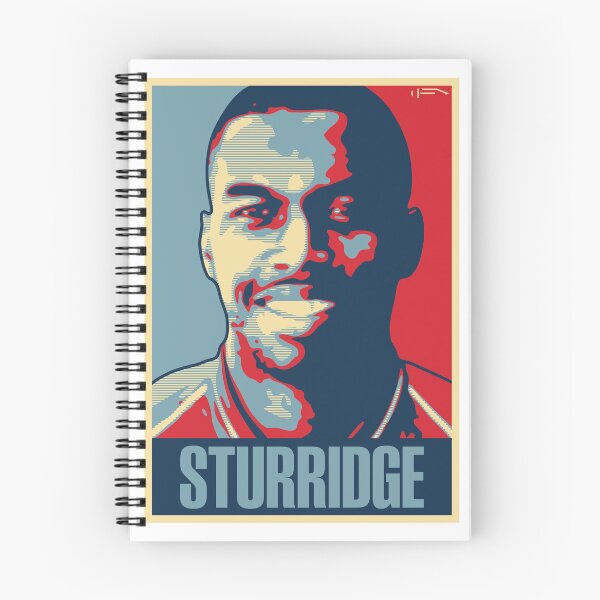 Item preview, Sturridge designed and sold by DFA.