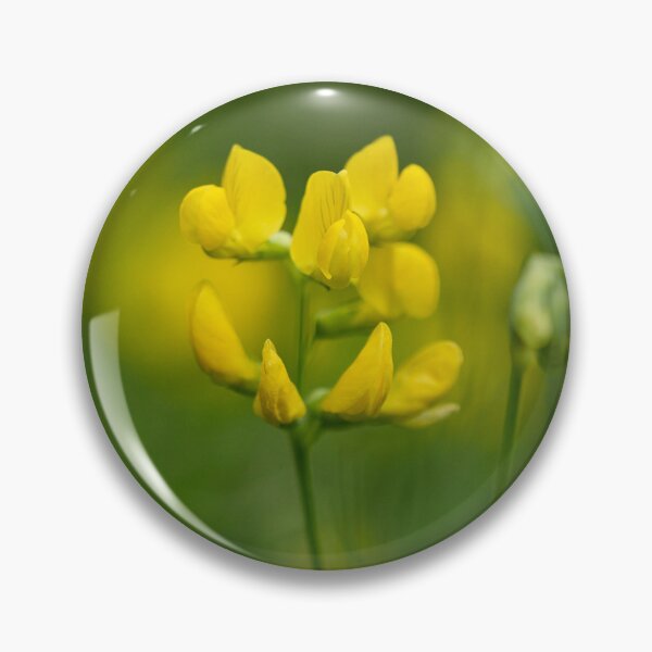 Item preview, Pea-vine. Meadow Vetchling designed and sold by Jouko Lehto Photography.