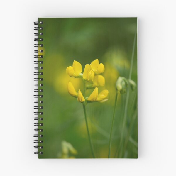 Item preview, Pea-vine. Meadow Vetchling designed and sold by Jouko Lehto Photography.