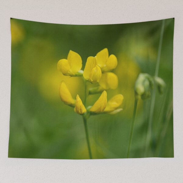 Item preview, Pea-vine. Meadow Vetchling designed and sold by Jouko Lehto Photography.