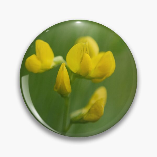 Item preview, Like painting. Meadow Vetchling designed and sold by Jouko Lehto Photography.