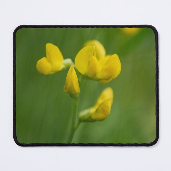 Item preview, Like painting. Meadow Vetchling designed and sold by Jouko Lehto Photography.