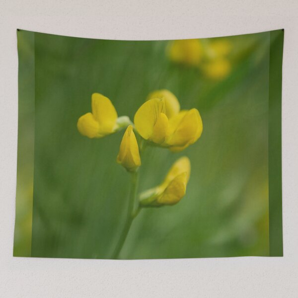 Item preview, Like painting. Meadow Vetchling designed and sold by Jouko Lehto Photography.