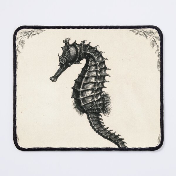 Item preview, T-Shirt - Sticker - Ornamental Anatomy: The Seahorse Study designed and sold by ForeverPrintsOK.