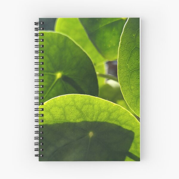 Item preview, Sunlit Money Plant Leaves — Backlit Pilea Botanical Macro Photography designed and sold by PrettyAround.