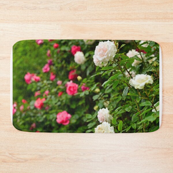 Item preview, White and red roses garden in Volksgarten, Vienna, springtime, Austria designed and sold by goceris.