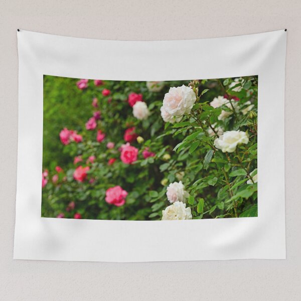 Item preview, White and red roses garden in Volksgarten, Vienna, springtime, Austria designed and sold by goceris.