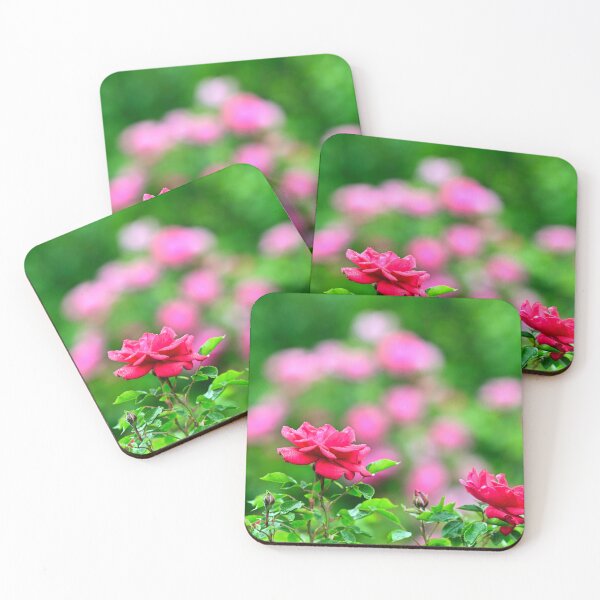 Item preview, Red roses with raindrops on the leaves, Volksgarten in Vienna, Austria designed and sold by goceris.