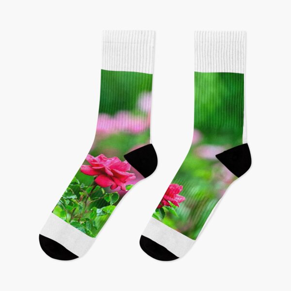 Item preview, Red roses with raindrops on the leaves, Volksgarten in Vienna, Austria designed and sold by goceris.