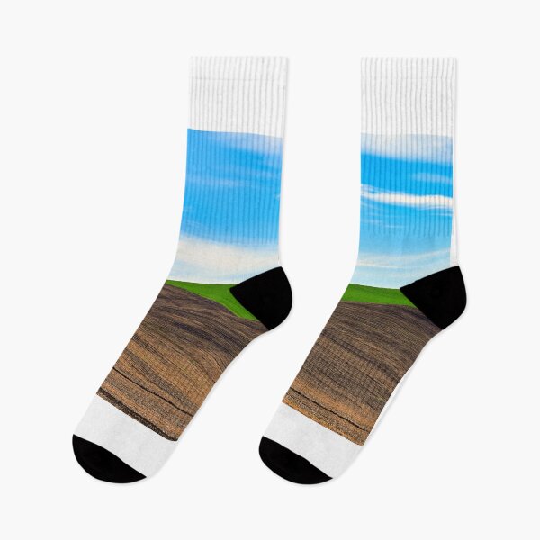 Item preview, Plowed and green wheat fields,Moravia rolling hills,landscape at spring ,Chech Republic designed and sold by goceris.
