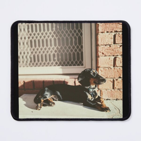 Item preview, Hound Dog designed and sold by Kookie0702.
