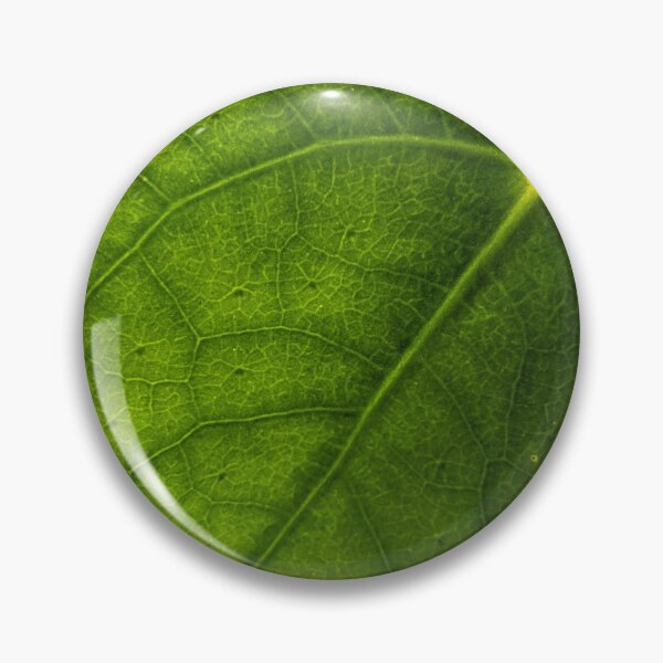 Item preview, Money Plant Vein Sunburst. Extreme Macro Pilea Leaf Photography designed and sold by PrettyAround.
