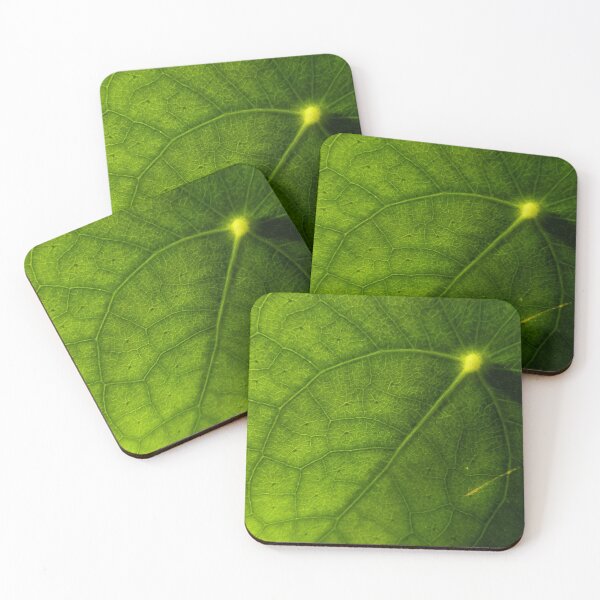 Item preview, Money Plant Vein Sunburst. Extreme Macro Pilea Leaf Photography designed and sold by PrettyAround.