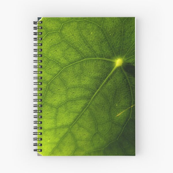 Item preview, Money Plant Vein Sunburst. Extreme Macro Pilea Leaf Photography designed and sold by PrettyAround.