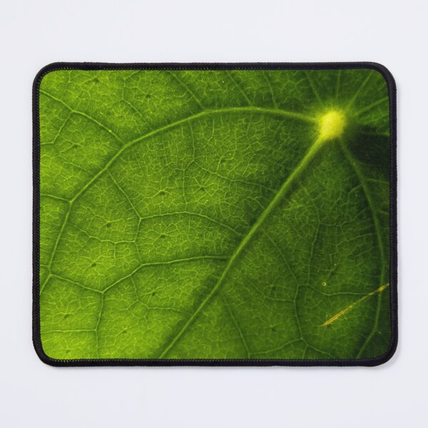 Item preview, Money Plant Vein Sunburst. Extreme Macro Pilea Leaf Photography designed and sold by PrettyAround.