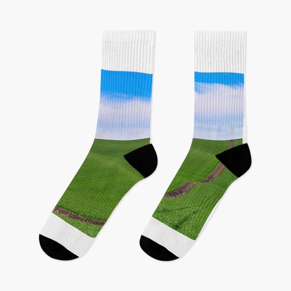 Item preview, Green wheat fields,Moravia rolling hills landscape ,springtime,Chech Republic designed and sold by goceris.
