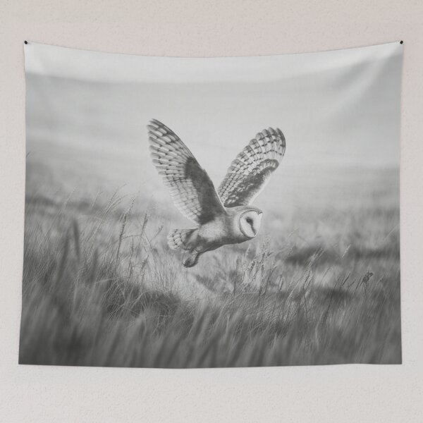 Item preview, A Barn Owl sweeping across open farmland, Birds in Motion designed and sold by CDC40.