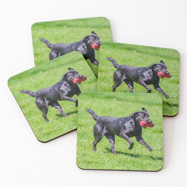 Item preview, Black labrador at gun dog trials designed and sold by Dalyndigital Photography.