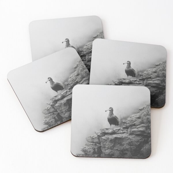 Item preview, A proud Albatross standing on coastal rocks, Birds in Motion designed and sold by CDC40.