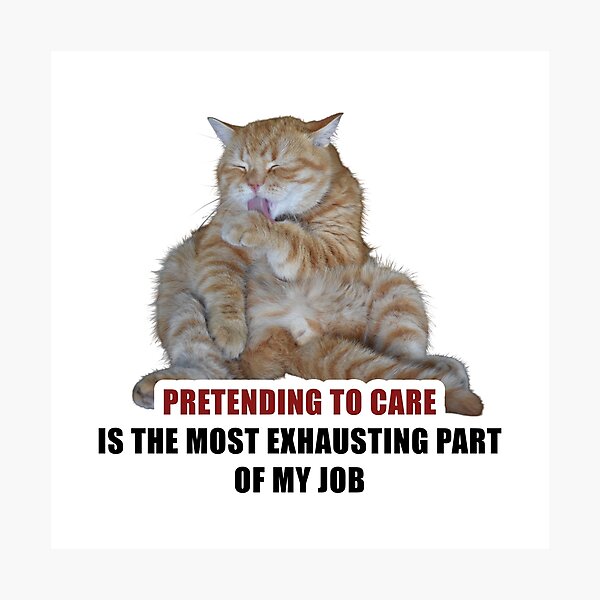 Item preview, Pretending To Care Exhausting Job Funny Cat Sticker designed and sold by StikerChuns.