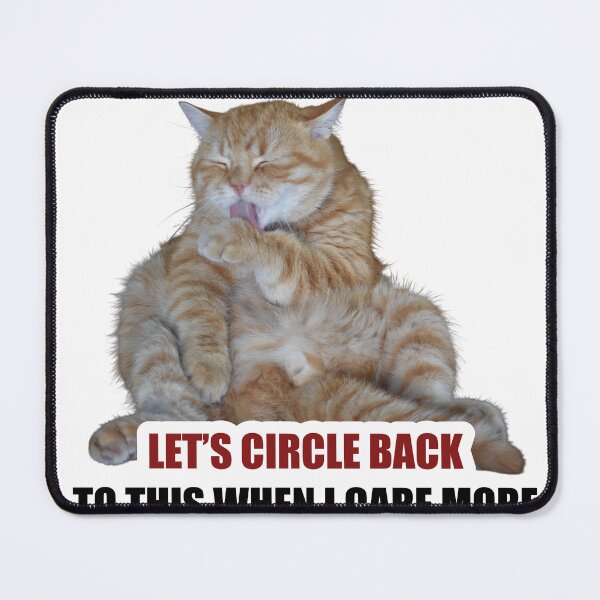 Item preview, Let's Circle Back Orange Cat Meme Funny Sticker designed and sold by StikerChuns.