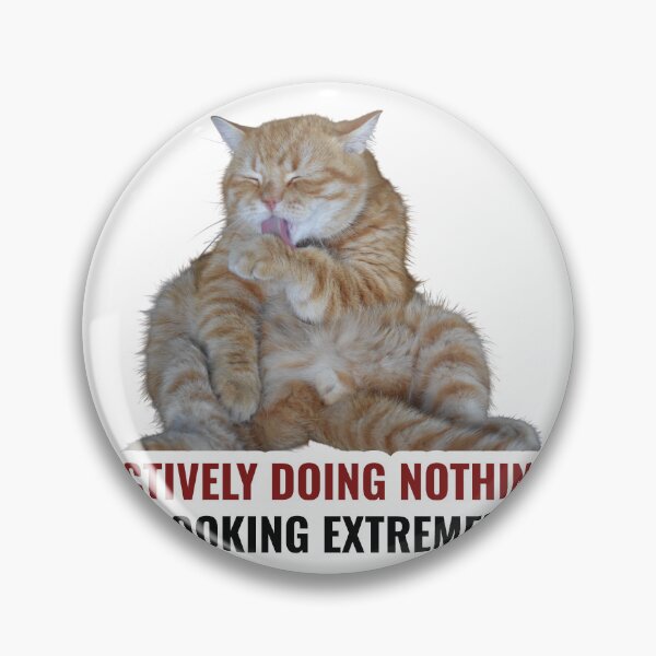 Item preview, Actively Doing Nothing Orange Cat Meme Sticker designed and sold by StikerChuns.