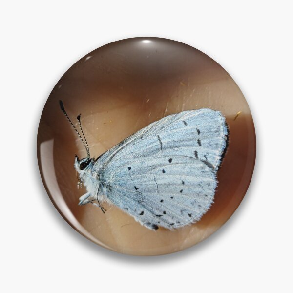 Item preview, Holly Blue Butterfly on Palm. Macro Nature Photography designed and sold by PrettyAround.