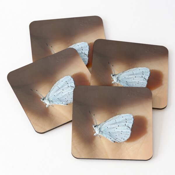 Item preview, Holly Blue Butterfly on Palm. Macro Nature Photography designed and sold by PrettyAround.