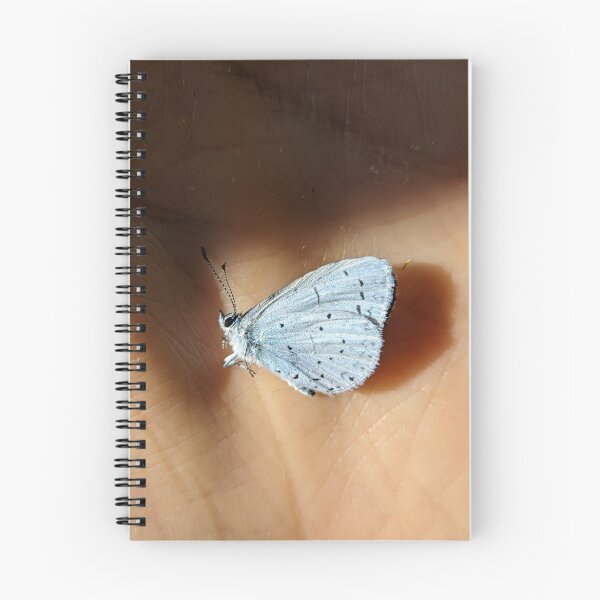 Item preview, Holly Blue Butterfly on Palm. Macro Nature Photography designed and sold by PrettyAround.