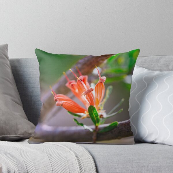 Item preview, Many-Flowered Honeysuckle Lambertia Multiflora - Fine Art designed and sold by MinzMarchStudio.