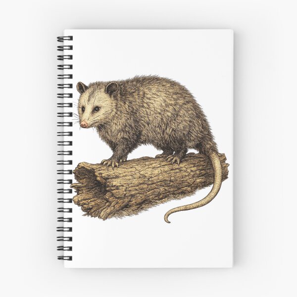 Item preview, Virginia Opossum Museum Plate designed and sold by KrungiT Design .