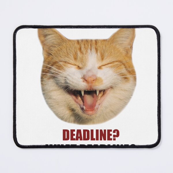 Item preview, Deadline What Deadline Funny Cat Meme Sticker designed and sold by StikerChuns.