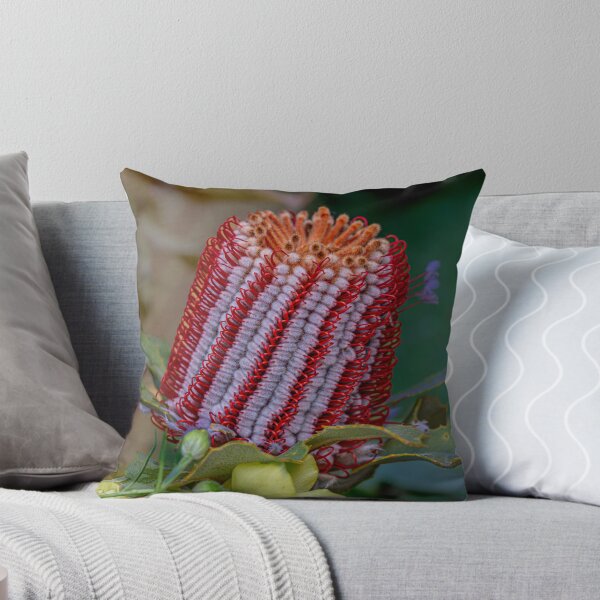 Item preview, Scarlet Banksia (Banksia Coccinea) Macro designed and sold by MinzMarchStudio.